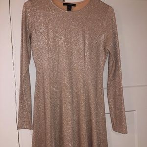 Forever 21 Sparkly Dress